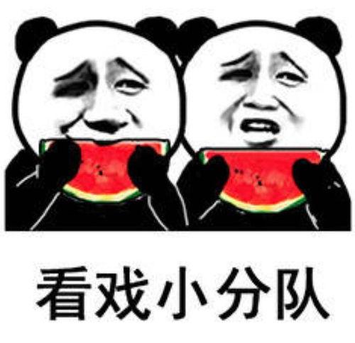 吃瓜娱乐圈的表情包